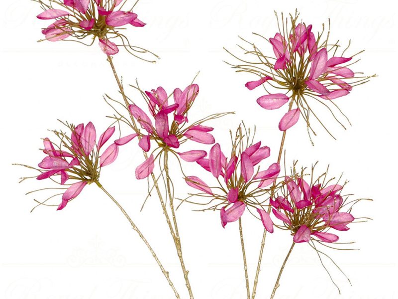 Al 68145 Goodwill Christmas Branches Needle Flowers Stem Hot Pink Gold