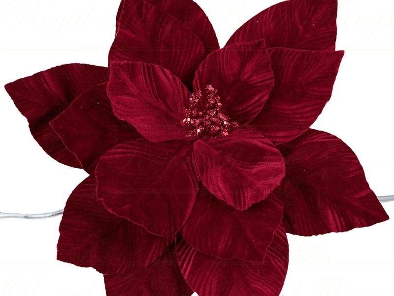 Ff 99512 Goodwill Christmas Flowers Poinsettia On Clip Burgundy