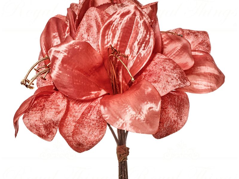 Goodwill Christmas Flowers Amaryllis Flower Bouquet Al 71144