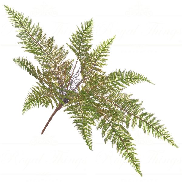 Sp 20253 Goodwill Branches Fern Bush Stem Green Gold