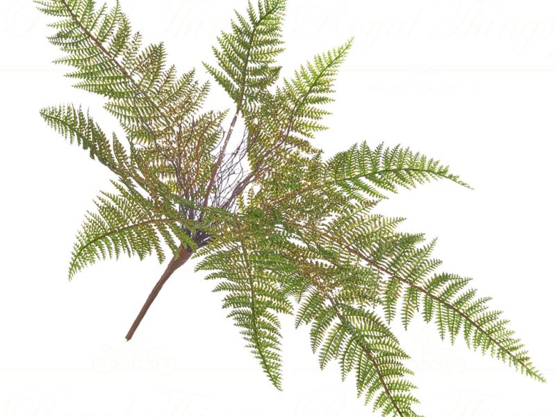 Sp 20253 Goodwill Branches Fern Bush Stem Green Gold