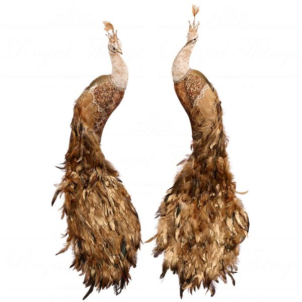 T 82022 Goodwill Christmas Decorative Items The Sun King Plume Peacock Wall Display Brown Creme