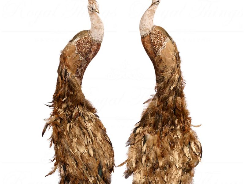 T 82022 Goodwill Christmas Decorative Items The Sun King Plume Peacock Wall Display Brown Creme