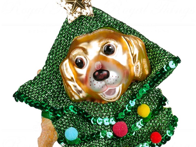 Tr 22458 Goodwill Christmas Ornaments Glass Dog In Xmas Tree Costume Ornament Green White Gold Vari Gold