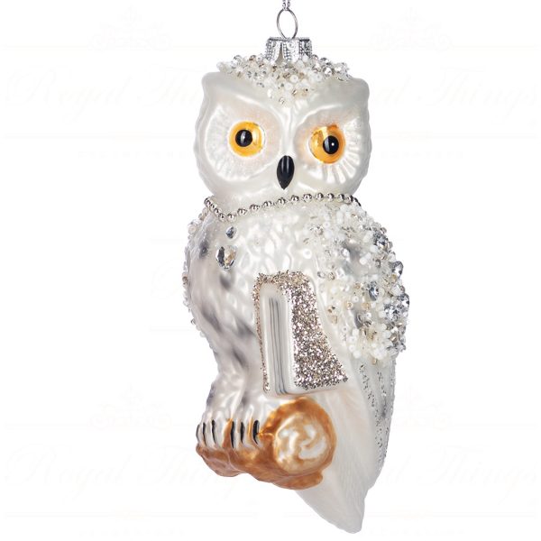Ya 92723 Goodwill Glass Christmas Ornaments Glass Owl With Book Ornament Cream Silver Vari White