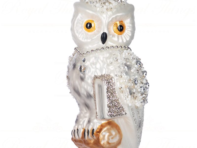 Ya 92723 Goodwill Glass Christmas Ornaments Glass Owl With Book Ornament Cream Silver Vari White
