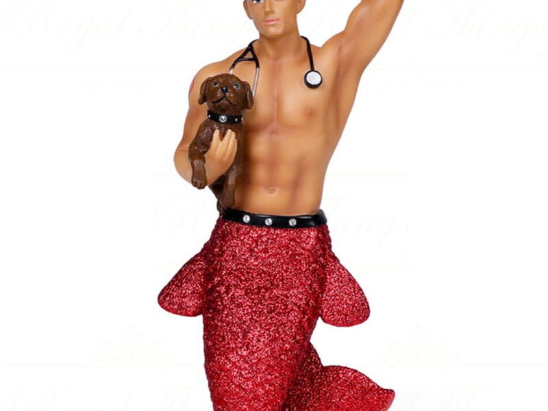 December Diamonds Christmas Ornaments Dr Pet A Vet Merman Gay Red Dd 55 55036