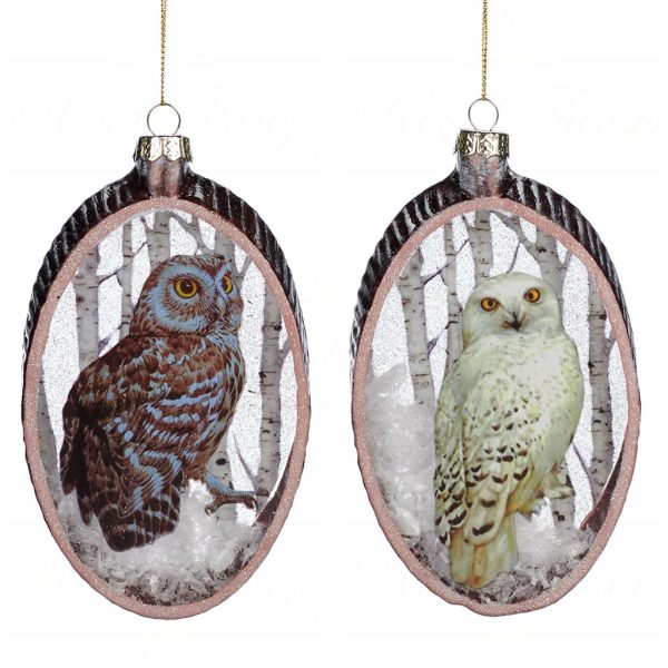 Goodwill Christmas Glass Ornament Owl In Woods Oval Brown White Tc 15023