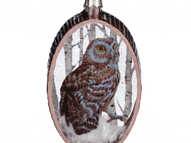 Goodwill Christmas Glass Ornament Owl In Woods Oval Brown White Tc 15023 Brown