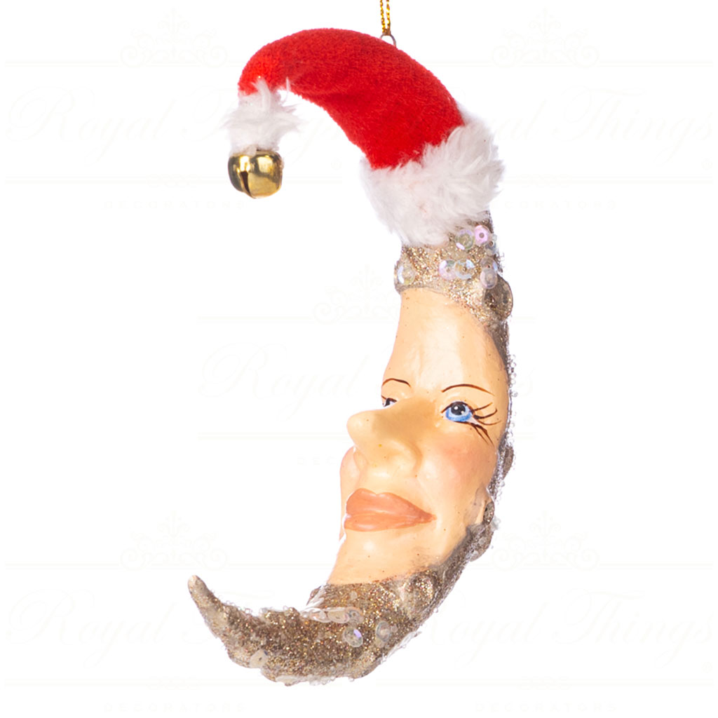 goodwill christmas ornament super xmas crater moon red gold champagne B 89400 champagne Goodwill Christmas Ornament Super Xmas Crater Moon Red Gold Champagne B 89400 Champagne