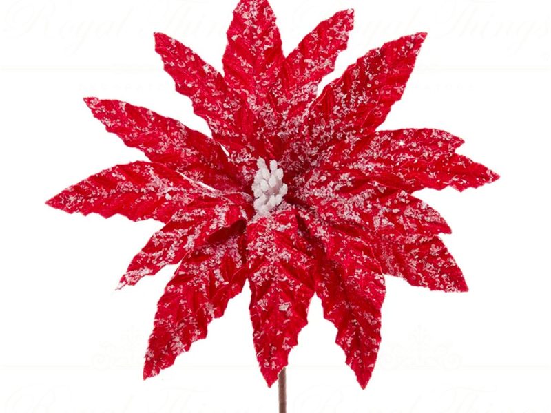 Kurt S Adler Christmas Flowers Velvet Red Frost Poinsettia On Stem Red White Ksa C9586